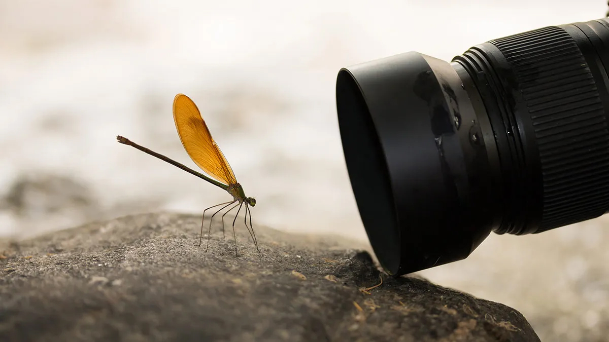 macro lens